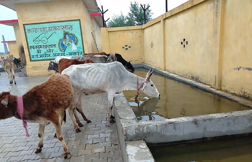 WhatsApp-Image-2020-02-16-at-3.53.29-PM-concentrate